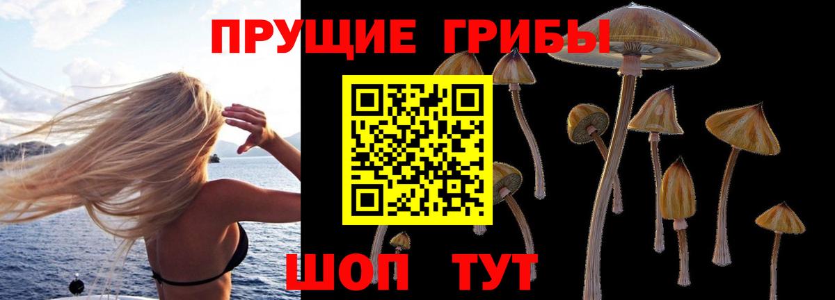 Надым  Псилоцибиновые грибы прущие грибы  Псилоцибиновые грибы ЛСД  Вход с VPN 
